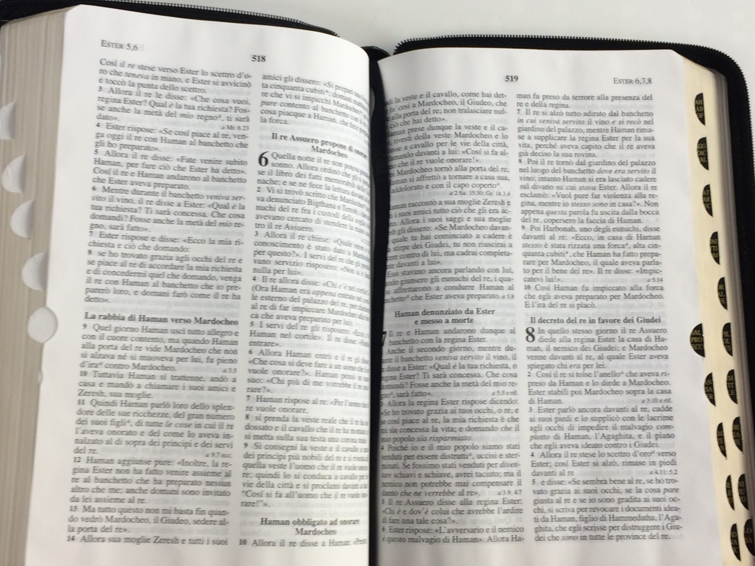 Bibbia Nuova Dio Dati, Duotone Marrone/Cuoio