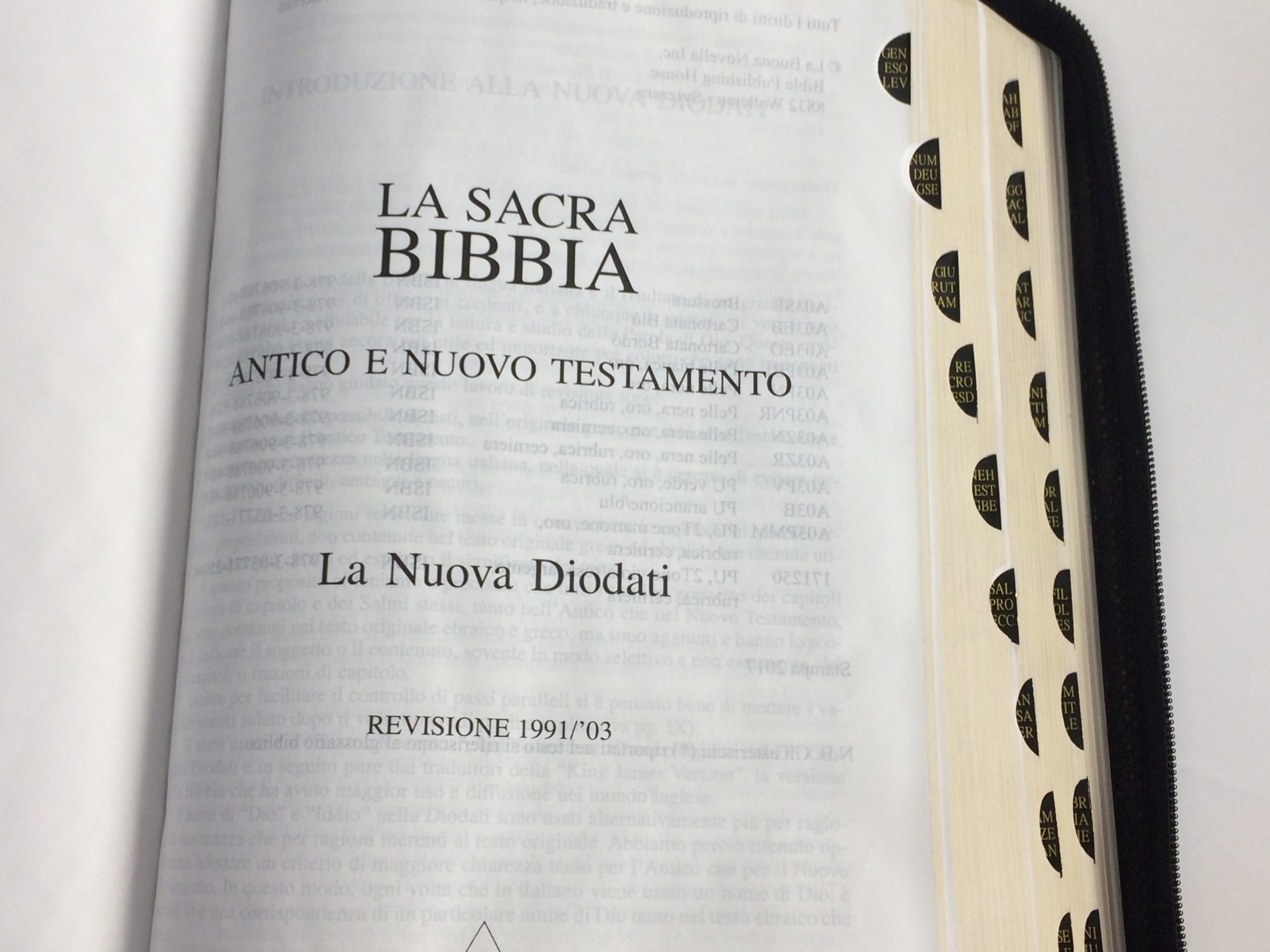 Bibbia Nuova Diodati a caratteri grandi (171.242): Nera, taglio