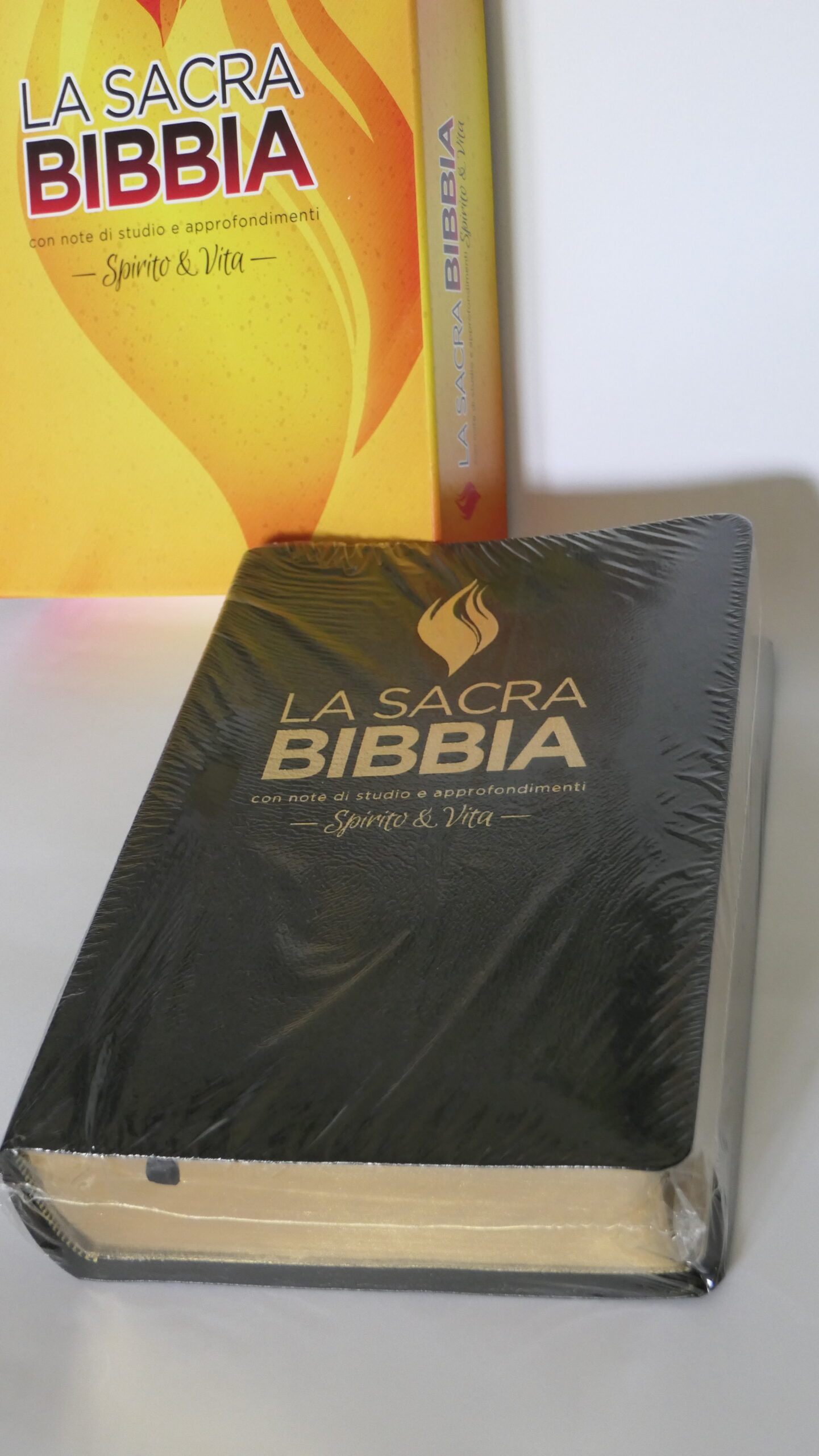 Bibbia da studio Spirito e Vita in pelle e taglio oro